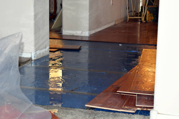 Professional Burst Pipe Cleanup technician working in Denbo, PA